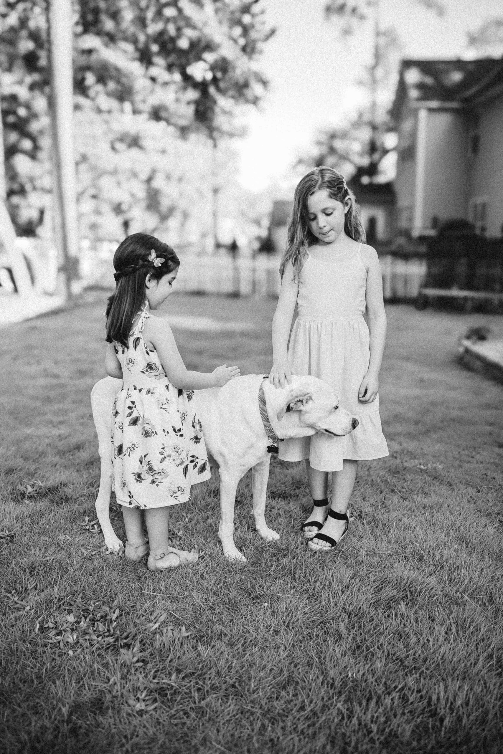 Two young girls in dresses standing in a garden, both gently petting a white dog.